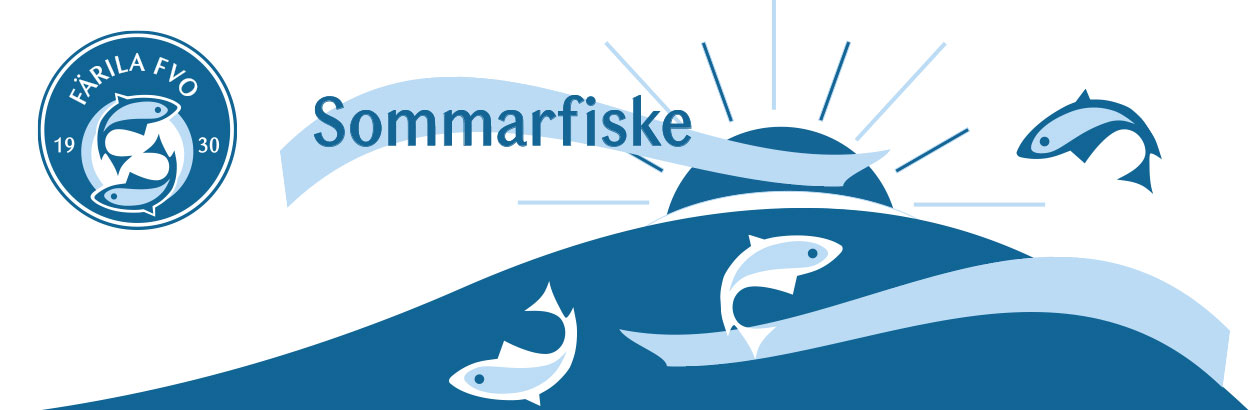 Sommarfiske i Färila