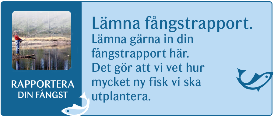 Lämna in din fångsrapport till oss på Färila Fiskevårdsområdesförening så vet vi bättre hur mycket fisk vi ska plantera ut.