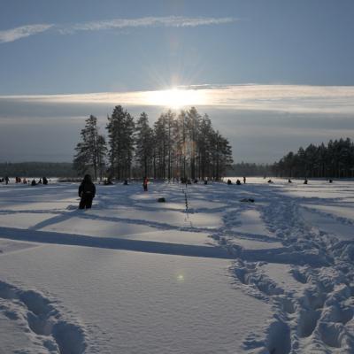 Skal Sjon Fint Vader