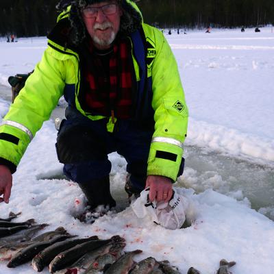 Farila Fvo 0018 Bror Svensson Tallsen 16 St Rdingar