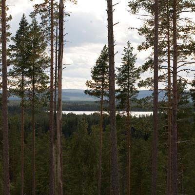 Farila Fvo 0024 Natur W2n7833