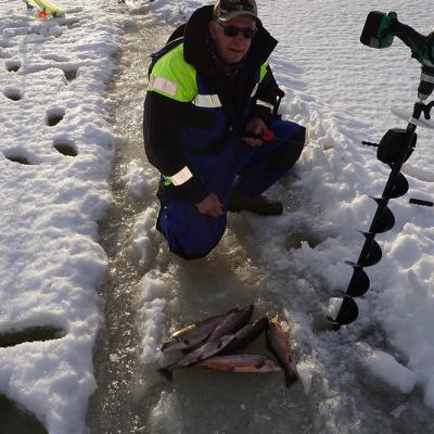 Farila Fvo 0025 Erik Sjlund Ljusdal 5 St Rdingar