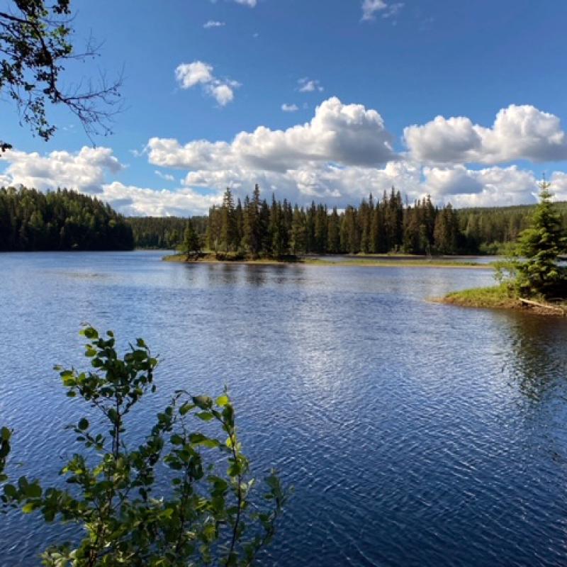 Ljusninan Farila Fvof