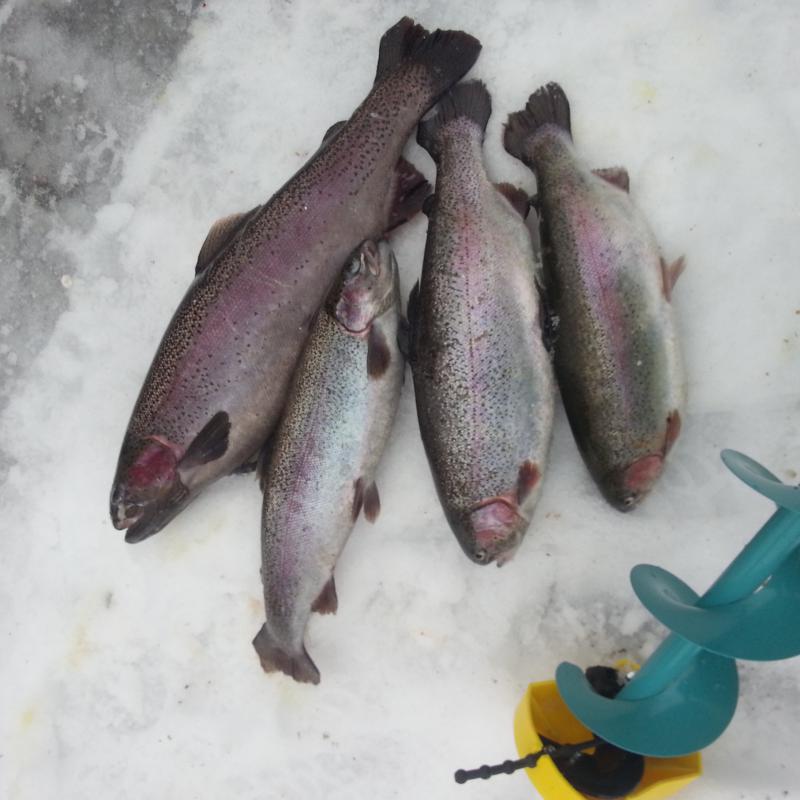 56b74db1b2d3b Wp 20160207 001