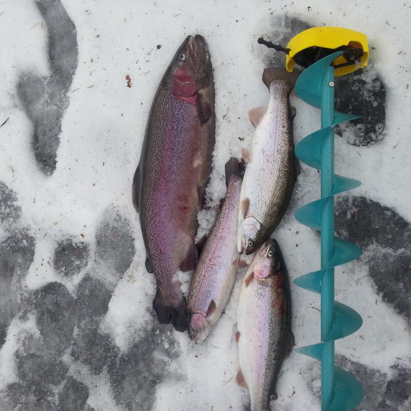 56b9f6d372414 Wp 20160209 001