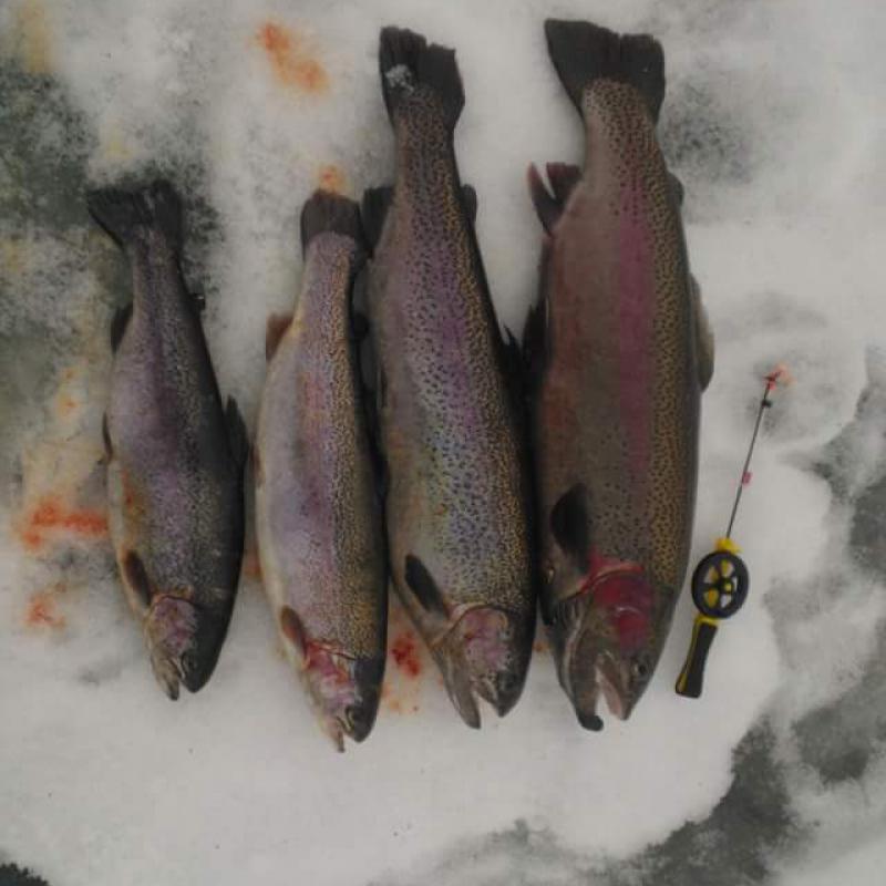 56ba2d14d250f Fb Img 1455041464197