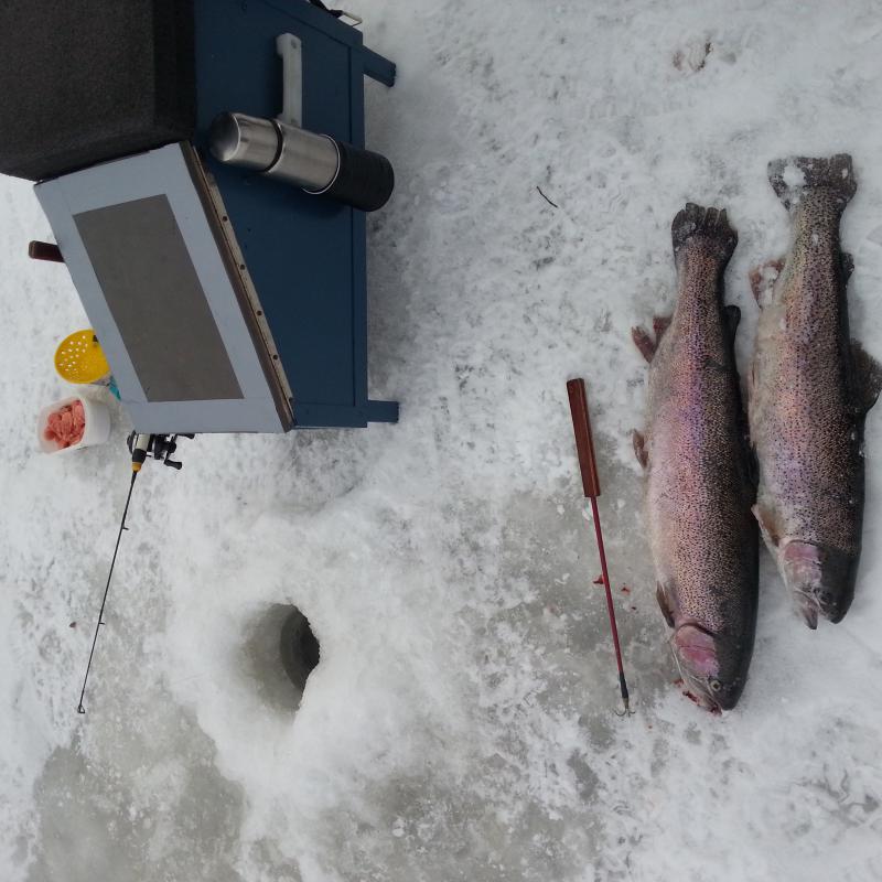 56c83cfb4c7a8 Wp 20160220 001