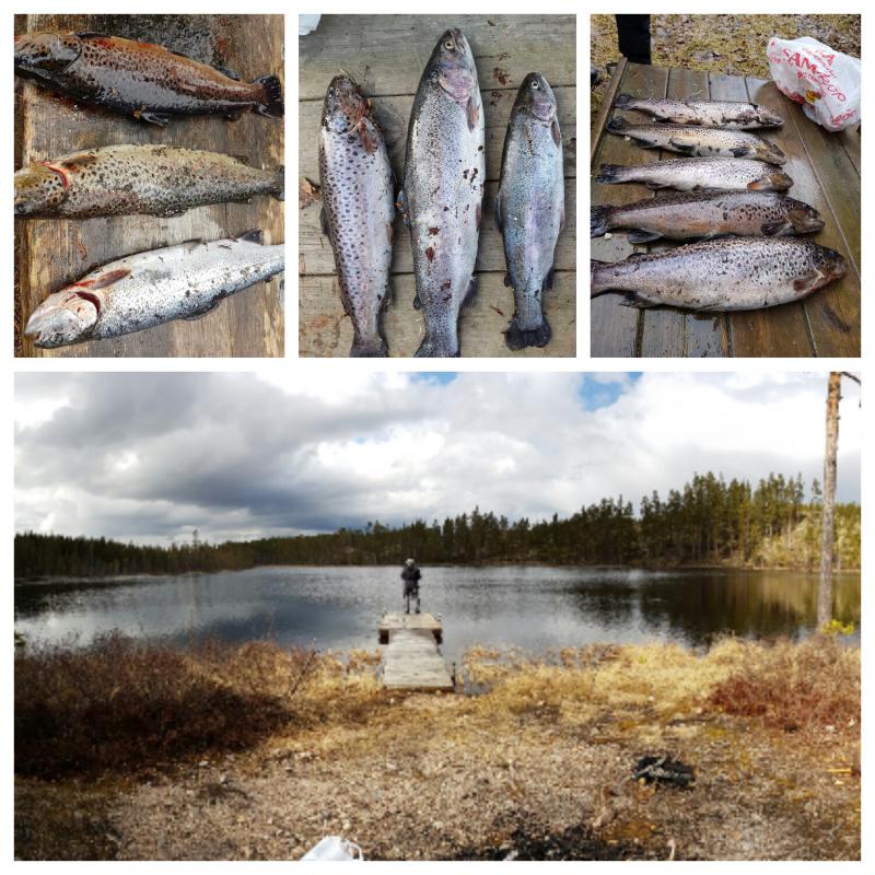 572625e9c091c 1462104610319