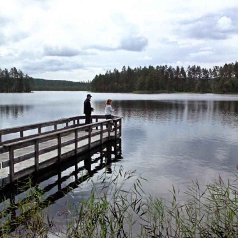 Vår/sommarfiske